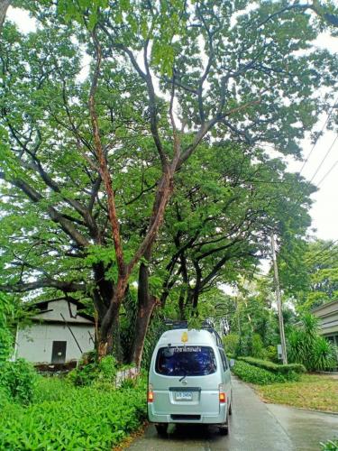 สำรวจเสาไฟฟ้าเอียงโคล่น บริเวณหมวดประมง คณะเกษตรศาสตร์